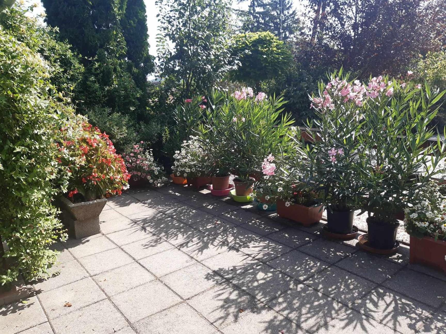Gyoengyvirag Apartment Romhány Buitenkant foto
