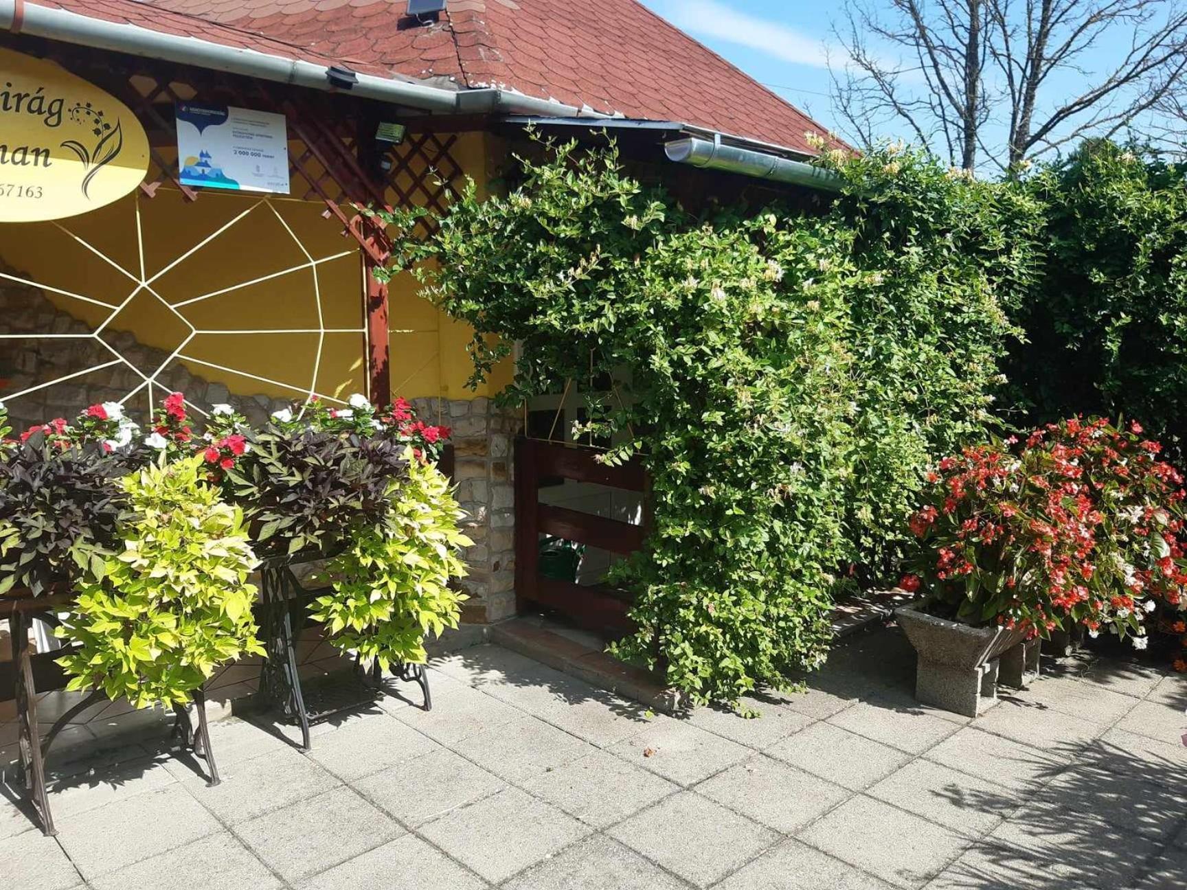 Gyoengyvirag Apartment Romhány Buitenkant foto